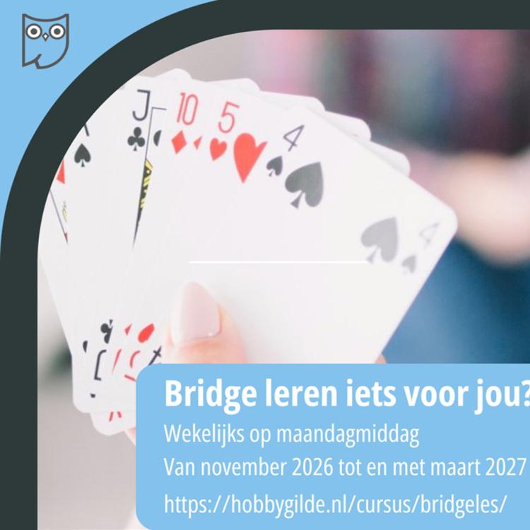 Cursus: Bridge