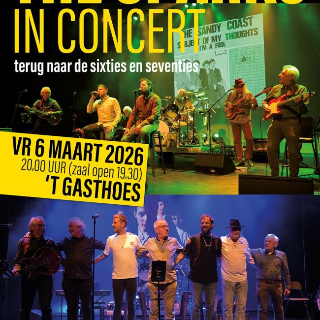 The Sparks in concert